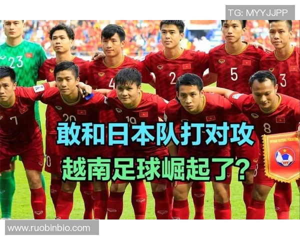 成都排球队与南京排球队对决后的深度分析与战术探讨