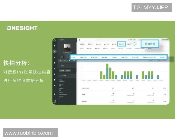 深入探讨Instagram平台节奏表现与数据分析的关系及其对用户互动的影响