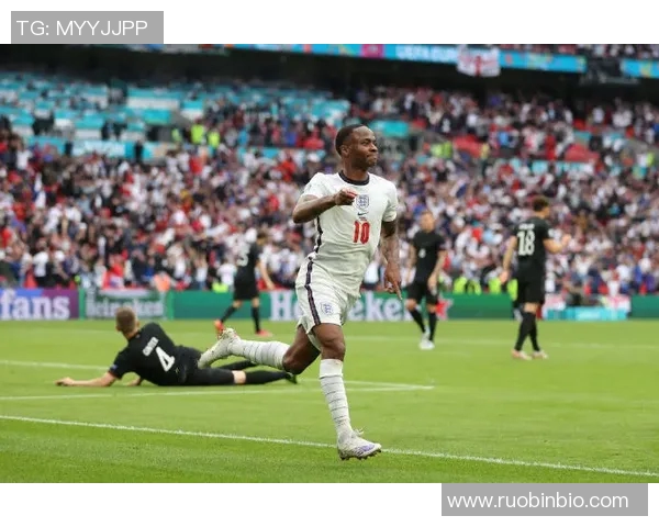 北爱尔兰与荷兰足球对决精彩回顾与赛后分析