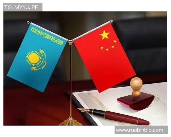 哈萨克斯坦与印尼的精彩对决引发全球关注和热议