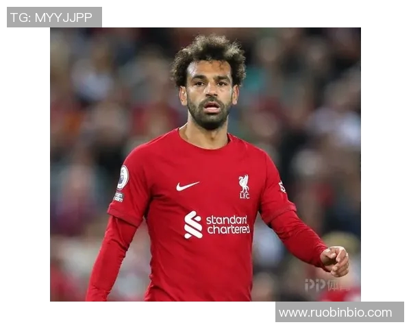 努涅斯在赛场上的崛起与挑战解析，展望未来的职业生涯发展与可能性